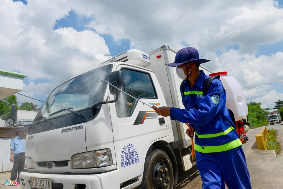 Cảnh tiêu hủy gần 3.800 con heo bị tiêm thuốc an thần-1