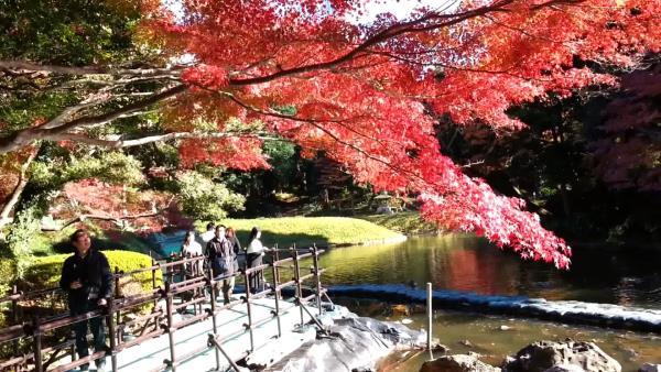 Nhật Bản - Tuyệt sắc giao mùa khiến bạn phải muốn đặt chân đến ngay-2