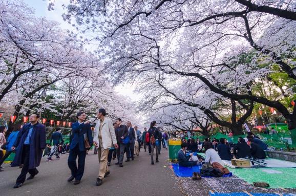 Nhật Bản - Tuyệt sắc giao mùa khiến bạn phải muốn đặt chân đến ngay-11