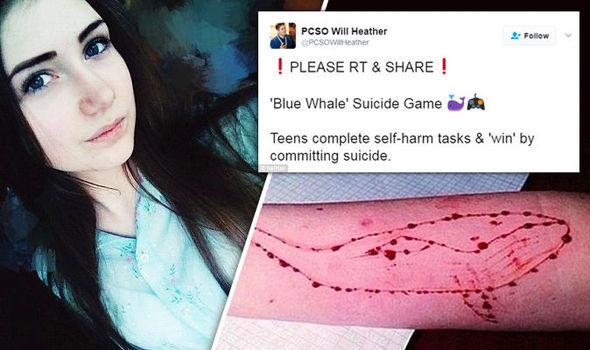 Nguy hiểm trò chơi trực tuyến khiến trẻ vị thành niên tình nguyện tự sát-2