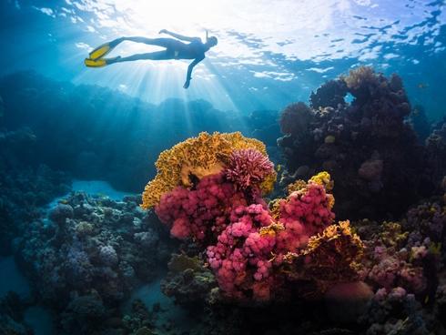 10 hành xử của thực khách khiến bồi bàn rất khó chịu-3