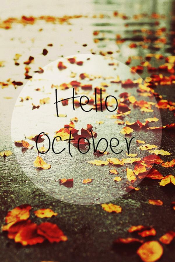 Thần tình yêu sẽ gõ cửa 5 cung Hoàng đạo này trong tháng 10-1