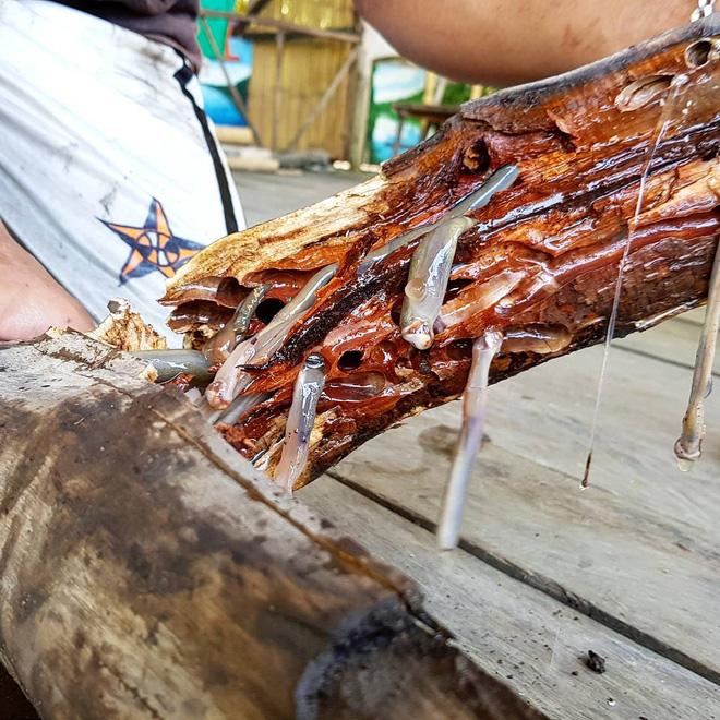 4 món đặc sản châu Á phải ăn sống, nuốt tươi, Việt Nam cũng góp mặt 1 món-2