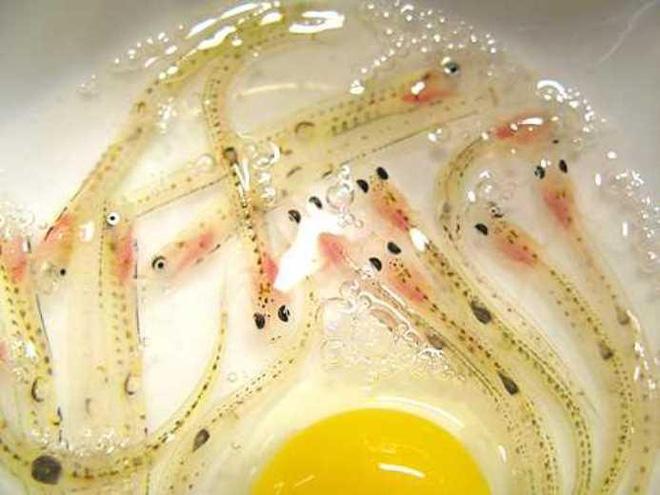 4 món đặc sản châu Á phải ăn sống, nuốt tươi, Việt Nam cũng góp mặt 1 món-8