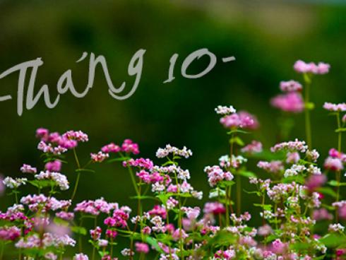 Thứ Hai của bạn (9/10): Ma Kết có một ngày làm việc hiệu quả