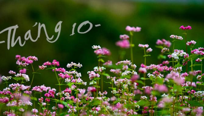 Thứ Hai của bạn (9/10): Ma Kết có một ngày làm việc hiệu quả-1