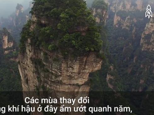 Ngắm Pandora ngoài đời thực ở Trung Quốc