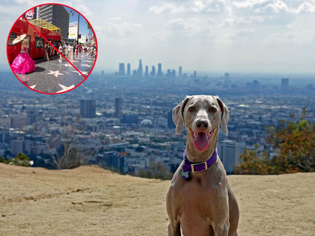 Bóc trần những địa danh nổi tiếng không đẹp như lời đồn-3