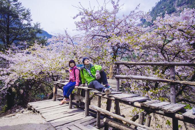 Ngưỡng mộ cặp đôi mang theo chân máy tự chụp ảnh khắp 5 châu lục-6