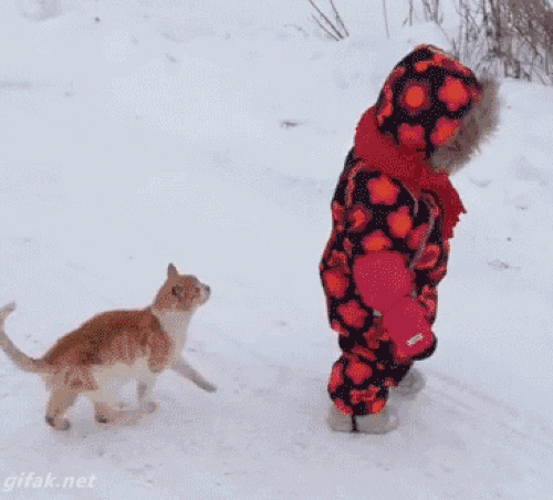 Bọn này đang có âm mưu thâu tóm Trái Đất chăng?-4