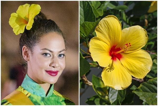 Mặc áo dài và cài dâm bụt giống Hoàng Thùy, người đẹp Fiji sáng nhất Miss Grand 2017-2