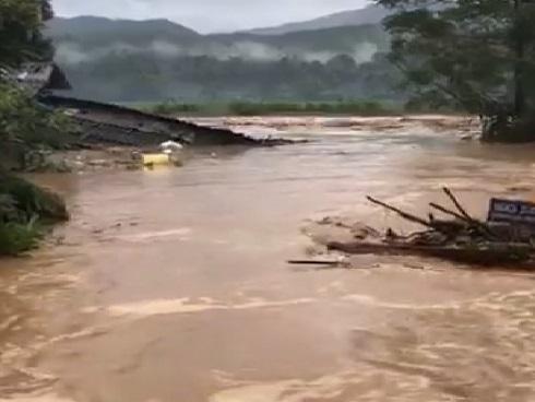 Nước lũ sông Hồng dâng cao: Dân Hà Nội liều mình bơi ra... cứu chim-12