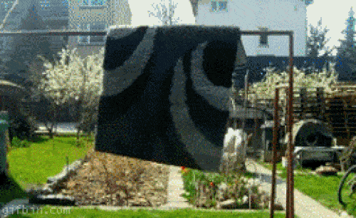 Ninja không thật sự siêu phàm như ta vẫn nghĩ-2