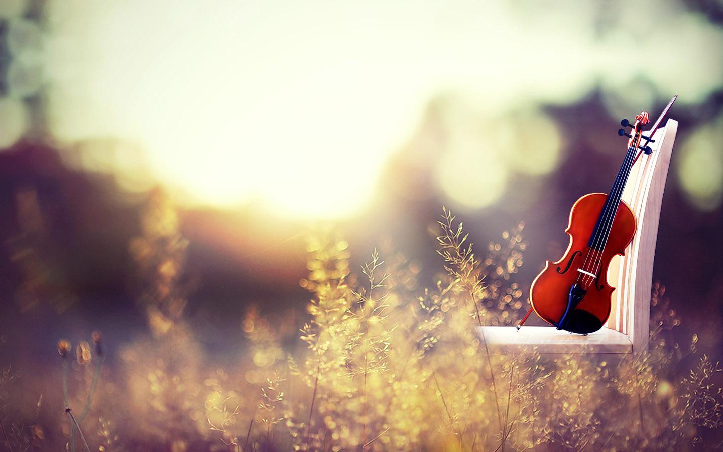 Mùi hương đàn bà trên chuyến xe buýt định mệnh (Phần 23)-2