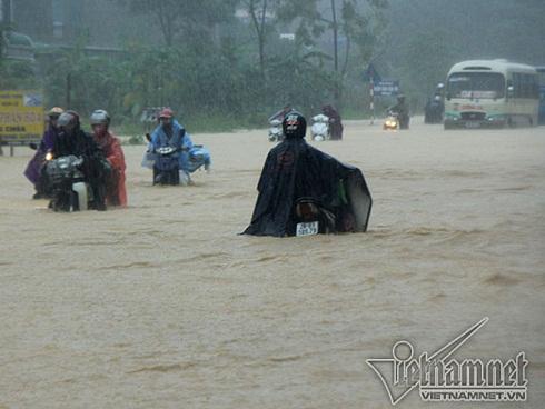Nước lũ sông Hồng dâng cao: Dân Hà Nội liều mình bơi ra... cứu chim-11