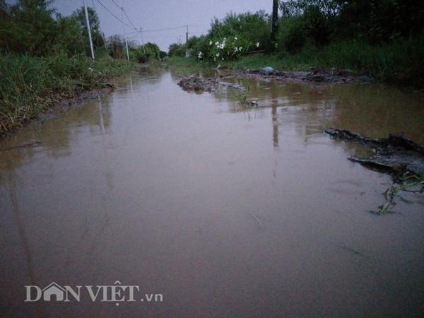 Nước lũ sông Hồng dâng cao: Dân Hà Nội liều mình bơi ra... cứu chim-9