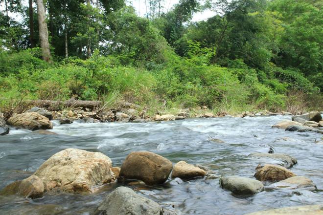 Trekking Tà Năng - Phan Dũng: Đi sao cho an toàn?-1