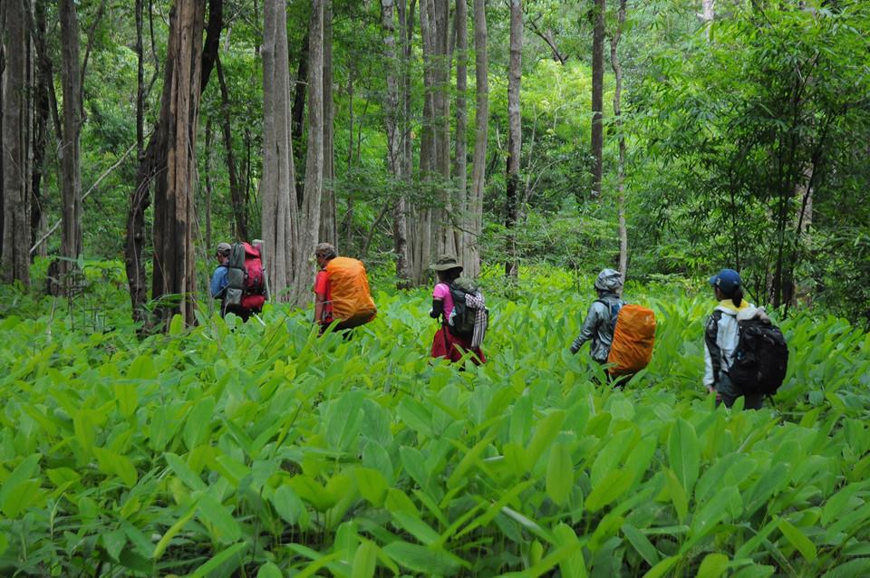 Trekking Tà Năng - Phan Dũng: Đi sao cho an toàn?-3