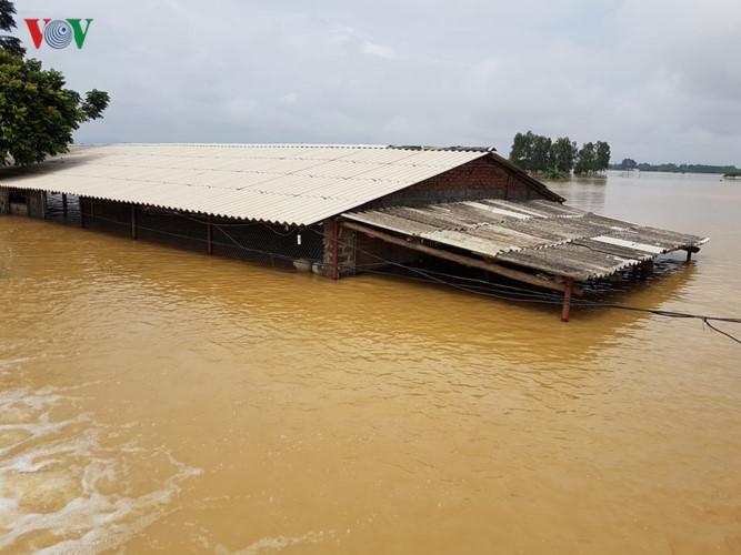Hà Nội: Vỡ đê ở Chương Mỹ nhấn chìm nhà dân-4