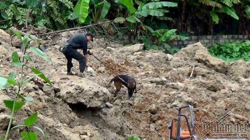 Chó nghiệp vụ bới đống đổ nát tìm thi thể người mất tích-1