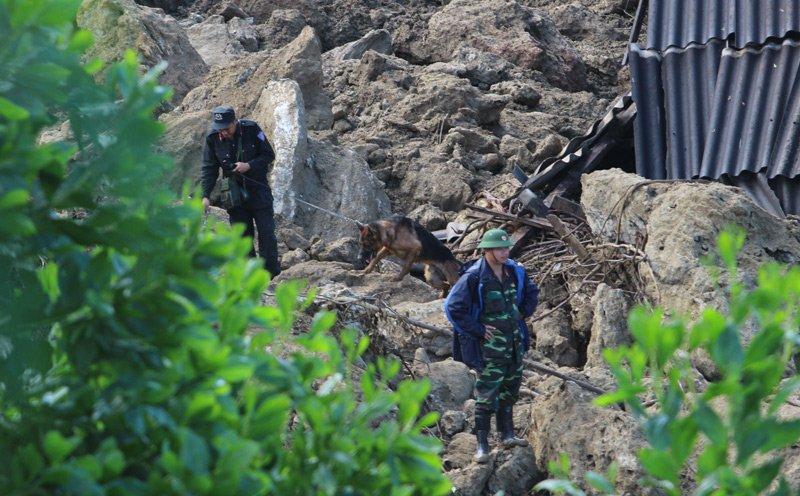 Chó nghiệp vụ bới đống đổ nát tìm thi thể người mất tích-4