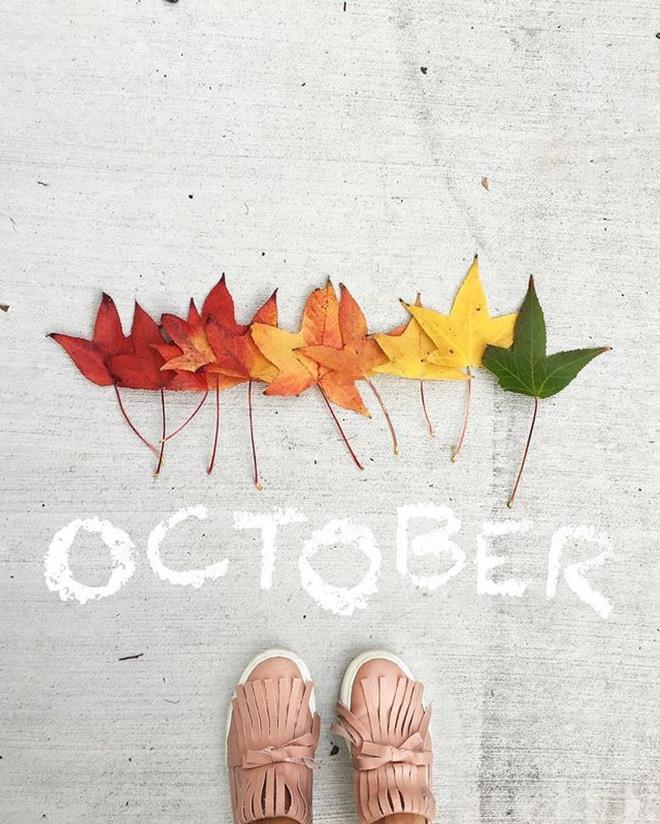 Lời nhắc nhở cho 12 con giáp trong tháng 10-2