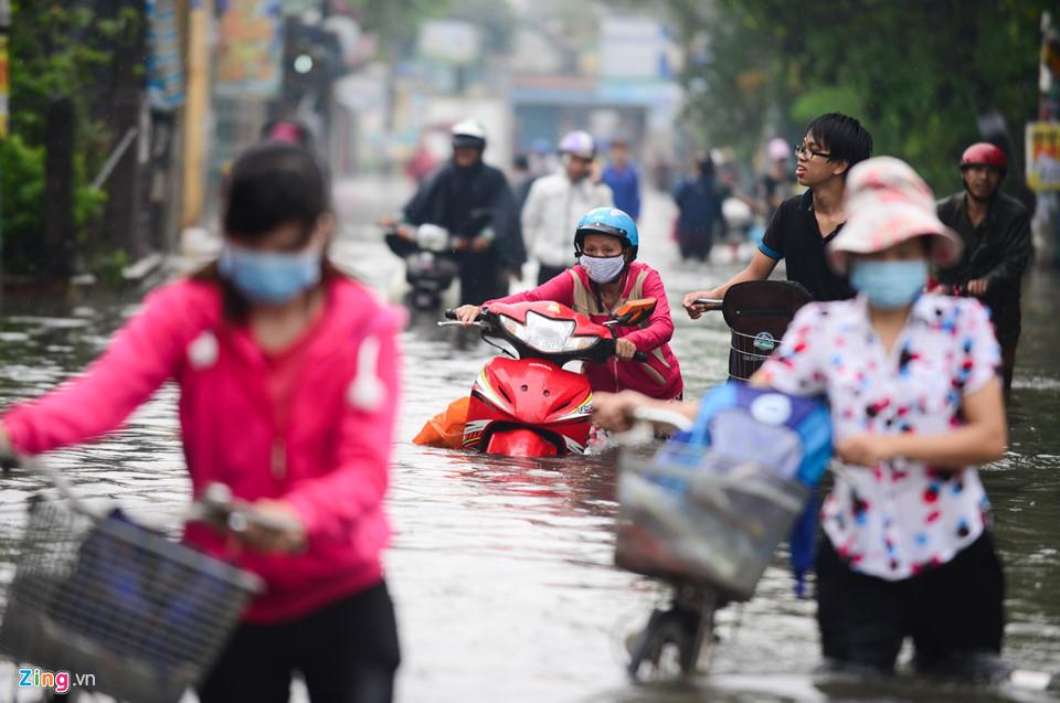Người Sài Gòn ra đường bắt cá sau trận mưa lớn suốt đêm-1