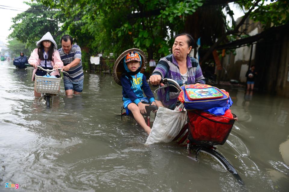 Người Sài Gòn ra đường bắt cá sau trận mưa lớn suốt đêm-4