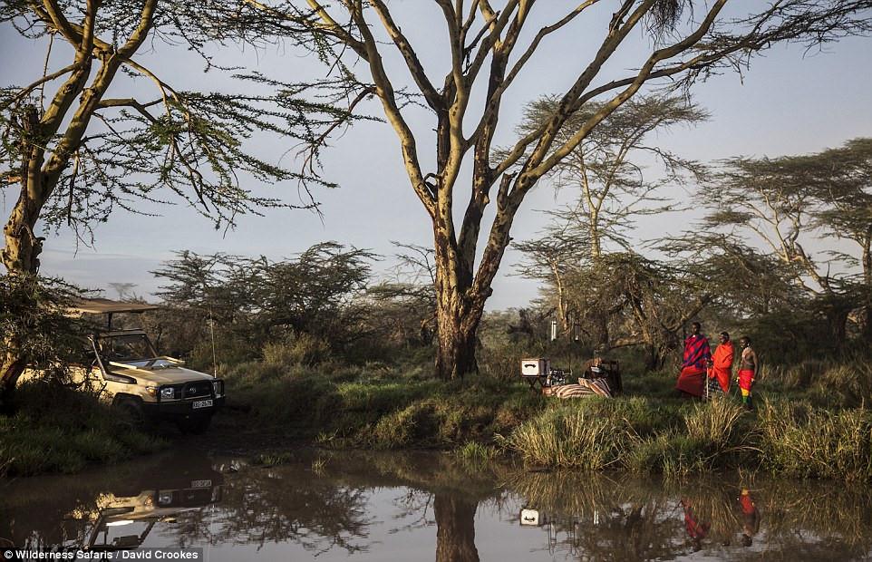 Phòng khách sạn tổ chim 5 sao đầu tiên trên thế giới-5