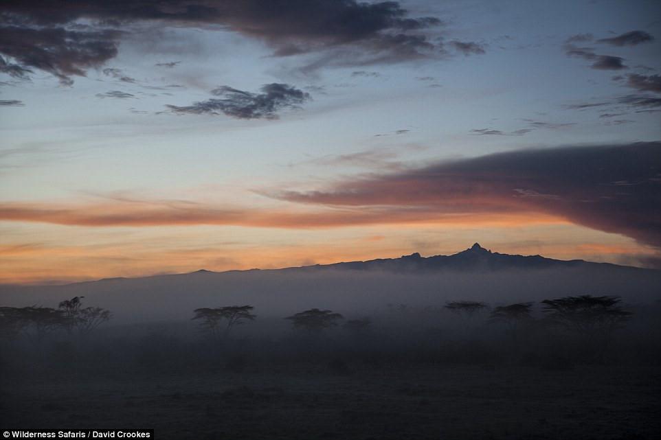 Phòng khách sạn tổ chim 5 sao đầu tiên trên thế giới-6