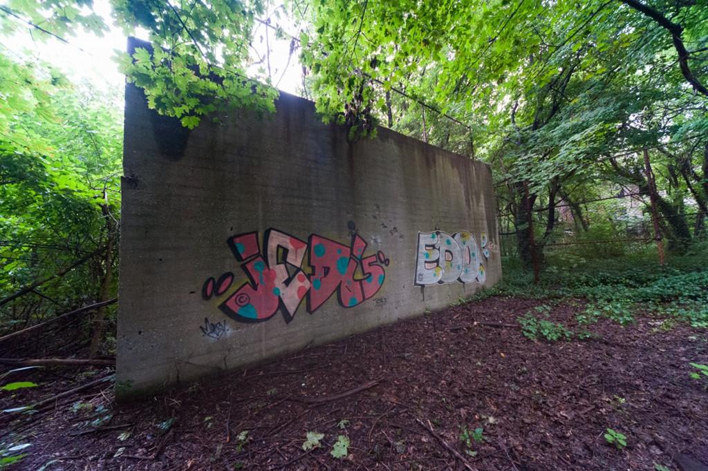 Hòn đảo không ai dám đặt chân tới giữa New York-9