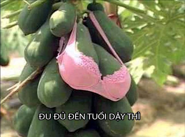 Ngày không mặc áo ngực: Chị em thả rông, áo để làm gì?-3