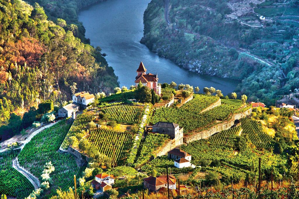 Thung lũng Douro, Bồ Đào Nha: Vào thu, thung lũng sông Douro trở thành một biển màu rực rỡ, với những vườn nho bậc thang trải dọc theo bờ sông.