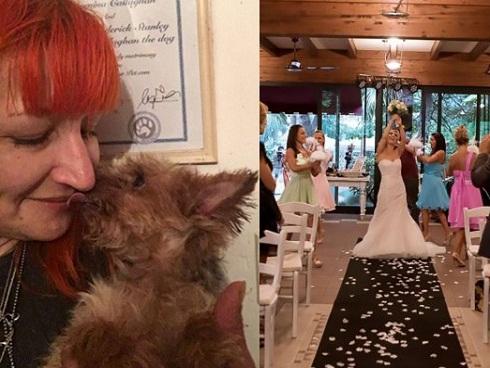 Bão số 11 di chuyển nhanh, Bắc Bộ và Bắc Trung Bộ sắp mưa to-2