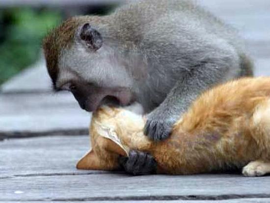 Đừng bao giờ hôn khi chưa được cho phép