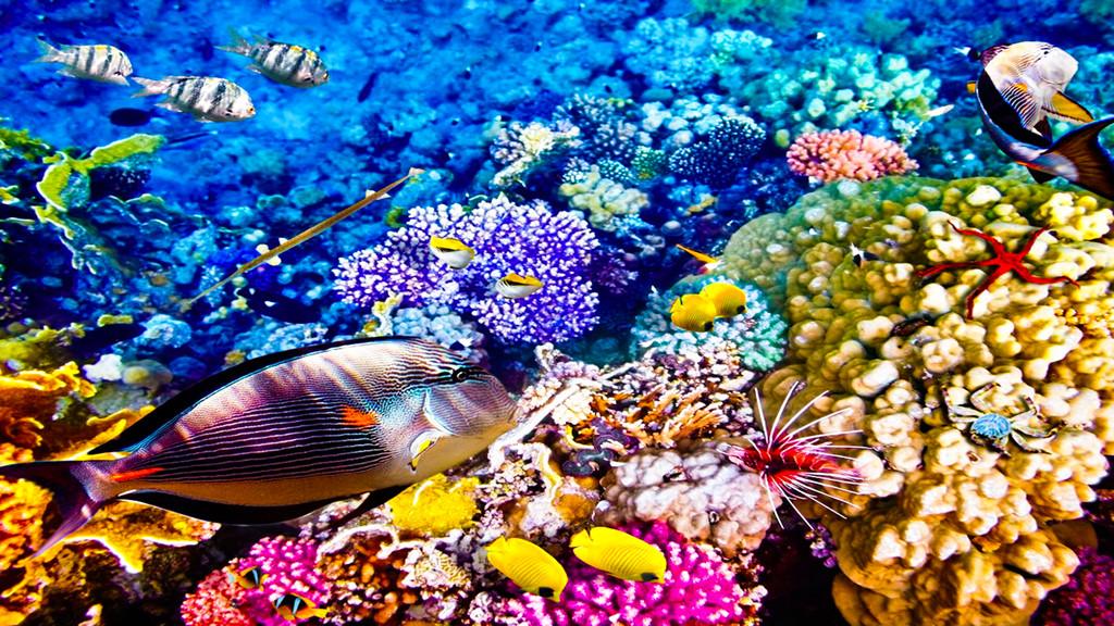 10 quốc gia lý tưởng cho mùa thu 2017-3