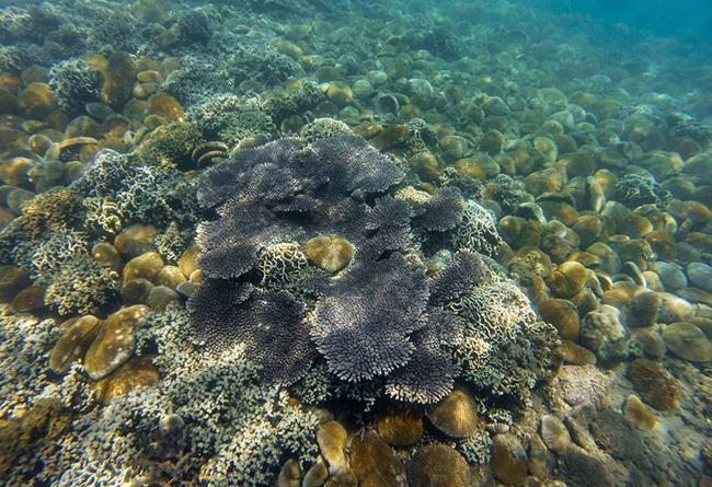 Những trải nghiệm đáng nhớ ở Việt Nam, không đụng hàng bất kỳ đâu-6