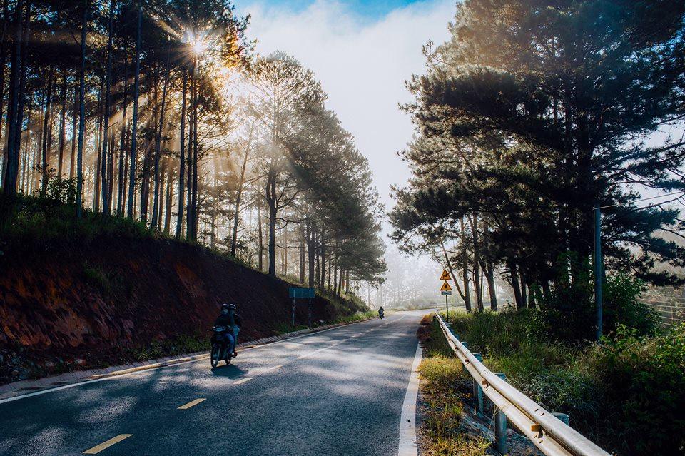 Bình yên đồi chè Cầu Đất-4