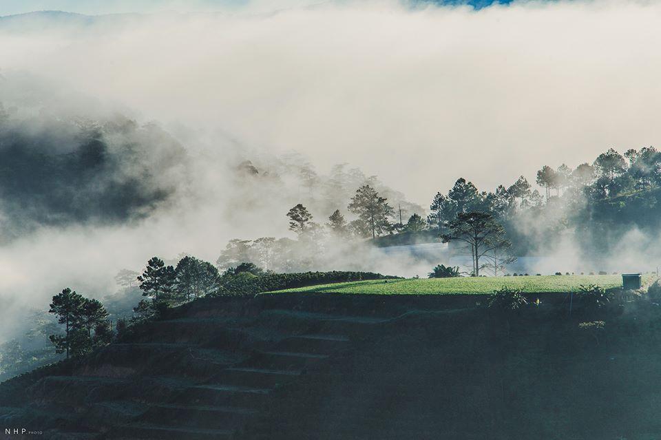 Bình yên đồi chè Cầu Đất-8