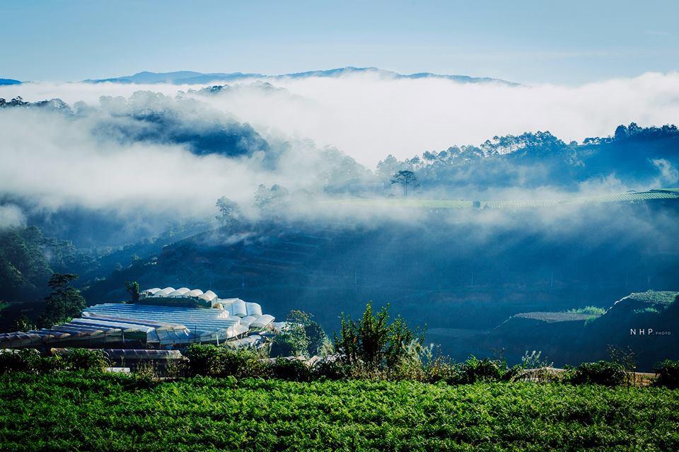Bình yên đồi chè Cầu Đất-9
