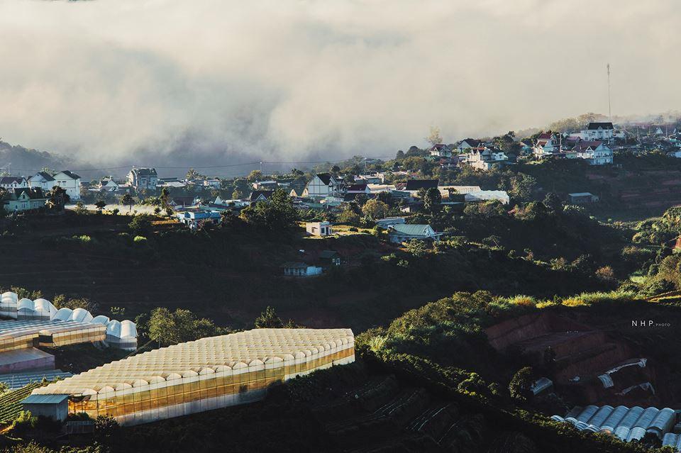 Bình yên đồi chè Cầu Đất-10