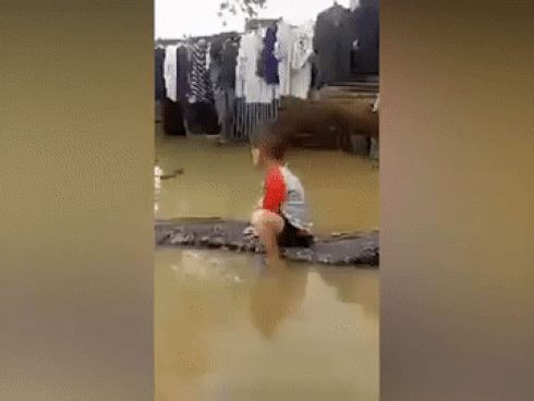 Sự thật về quả đào tiên và quả nhân sâm 9.000 năm mới kết trái, ăn vào trường sinh bất lão trong Tây du ký-8