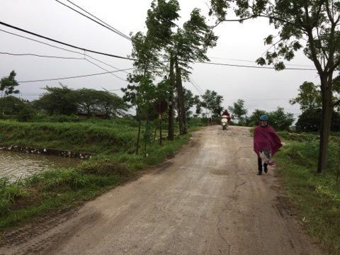 Hà Nội: Nỗi đau của người vợ có chồng bị bắt do đánh tử vong trộm chó-1