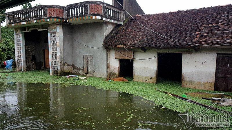 Vỡ đê Chương Mỹ: Người Hà Nội rửa bát, tắm giặt bằng nước lũ-6