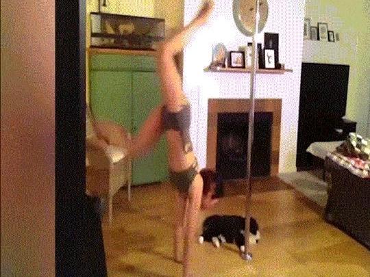 Clip hài: Mặt trái của nghề múa cột