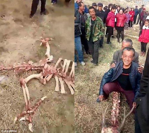 Video phát hiện bộ xương rồng khổng lồ tại Trung Quốc gây bão mạng-2