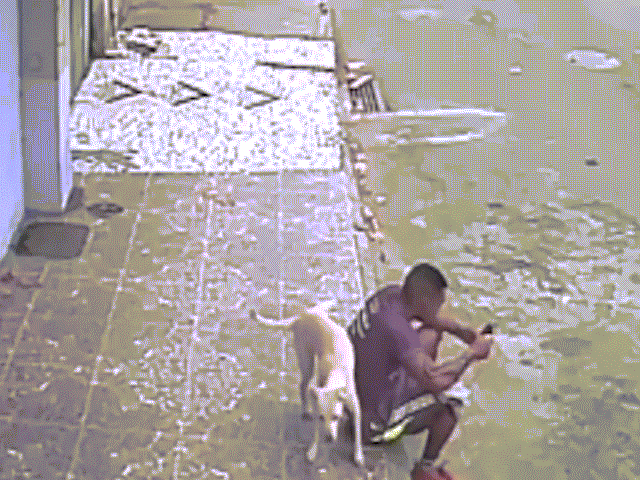 Đang ngồi trên vỉa hè, bị chó áp sát ghếch chân tè một bãi