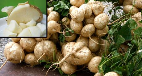 Sự thật về quả đào tiên và quả nhân sâm 9.000 năm mới kết trái, ăn vào trường sinh bất lão trong Tây du ký-2