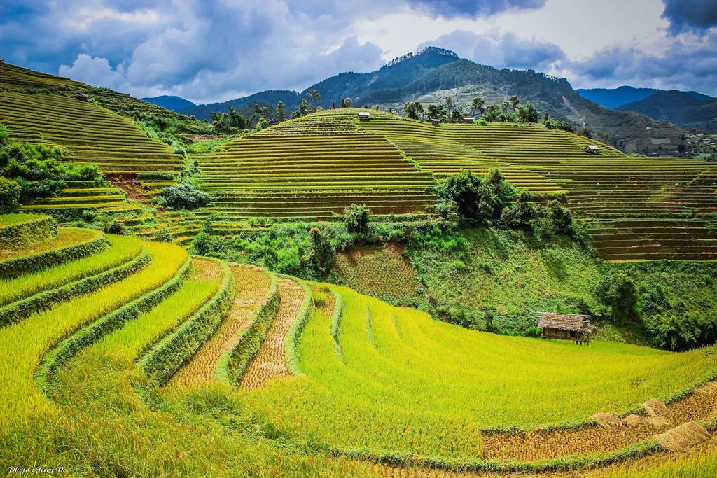 Ruộng bậc thang Mù Cang Chải thơ mộng mùa lúa chín-2