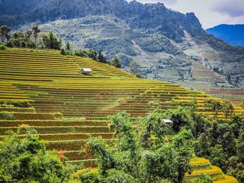 Chuyến picnic của chú nhím Nhật tí hon-8